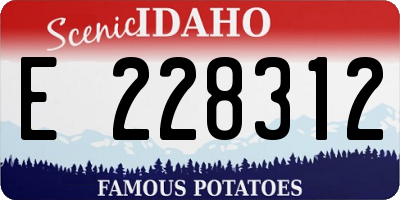 ID license plate E228312