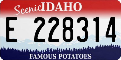 ID license plate E228314