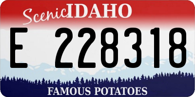 ID license plate E228318