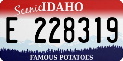 ID license plate E228319