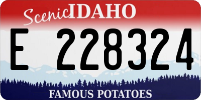 ID license plate E228324