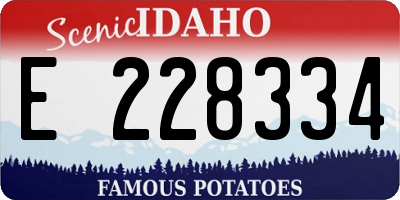 ID license plate E228334