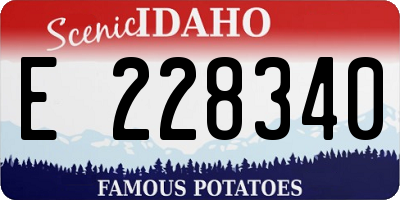 ID license plate E228340