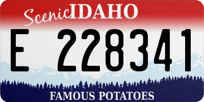 ID license plate E228341