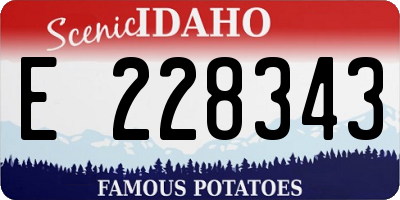 ID license plate E228343