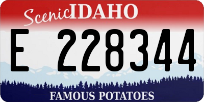 ID license plate E228344