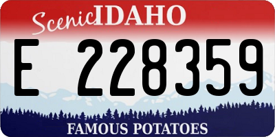 ID license plate E228359