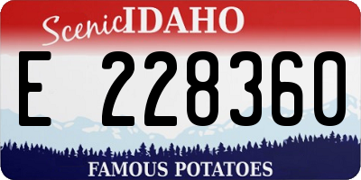ID license plate E228360