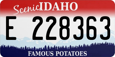 ID license plate E228363