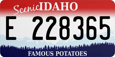 ID license plate E228365