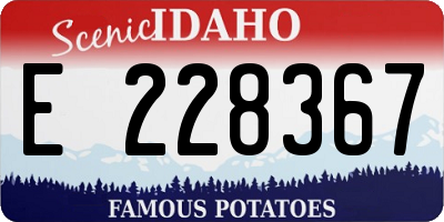ID license plate E228367