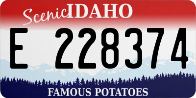 ID license plate E228374