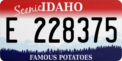 ID license plate E228375