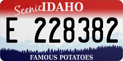 ID license plate E228382