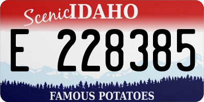 ID license plate E228385
