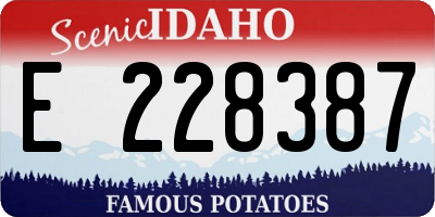 ID license plate E228387