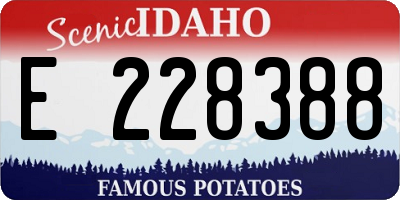ID license plate E228388