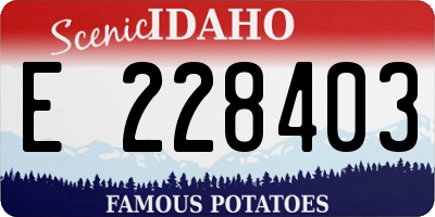 ID license plate E228403