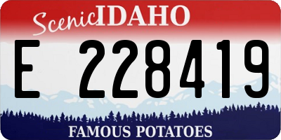 ID license plate E228419