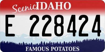 ID license plate E228424