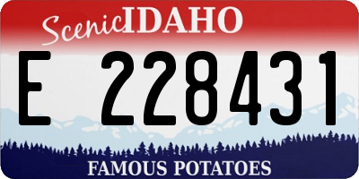 ID license plate E228431