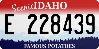 ID license plate E228439