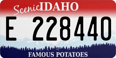 ID license plate E228440