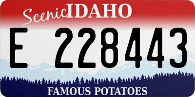 ID license plate E228443