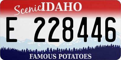 ID license plate E228446