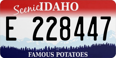 ID license plate E228447