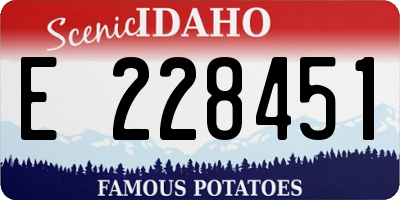 ID license plate E228451