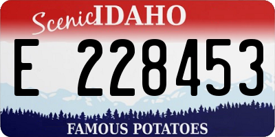 ID license plate E228453