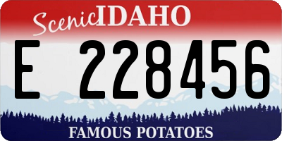 ID license plate E228456