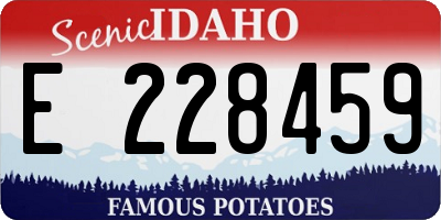 ID license plate E228459