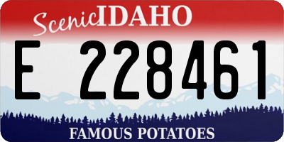 ID license plate E228461