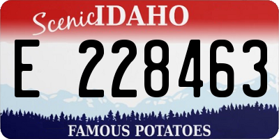 ID license plate E228463