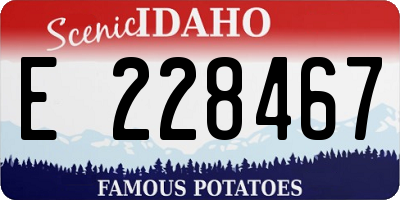 ID license plate E228467