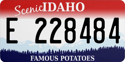 ID license plate E228484