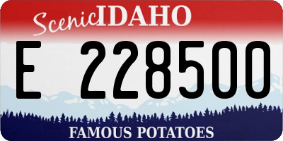 ID license plate E228500
