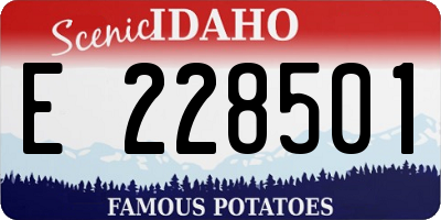 ID license plate E228501
