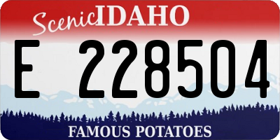 ID license plate E228504