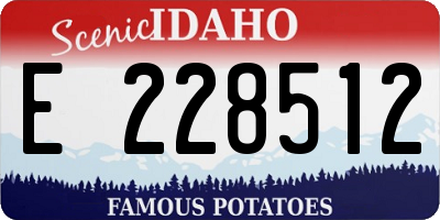 ID license plate E228512