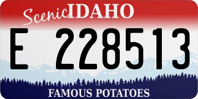 ID license plate E228513