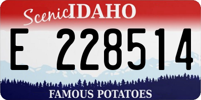 ID license plate E228514