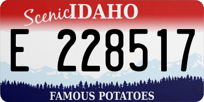 ID license plate E228517
