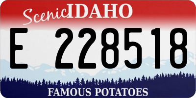 ID license plate E228518
