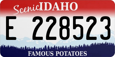 ID license plate E228523