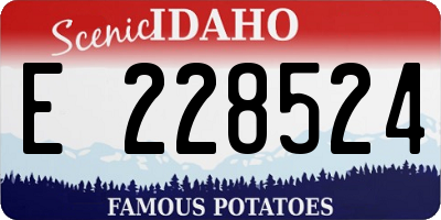 ID license plate E228524