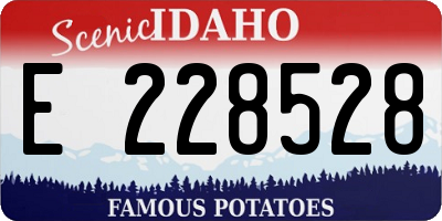 ID license plate E228528