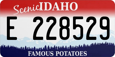 ID license plate E228529